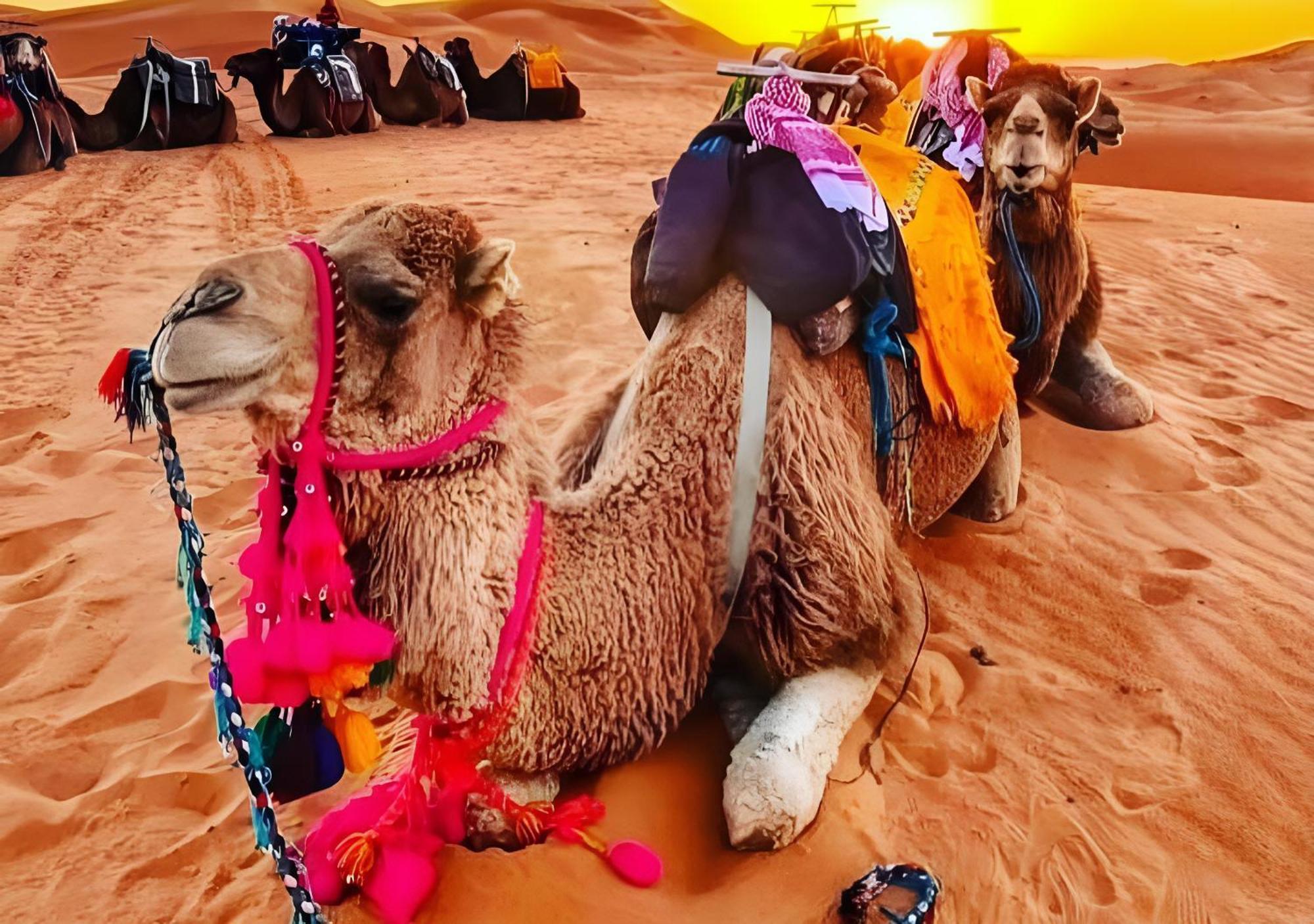 Top Desert Luxury Camp مرزوكة المظهر الخارجي الصورة
